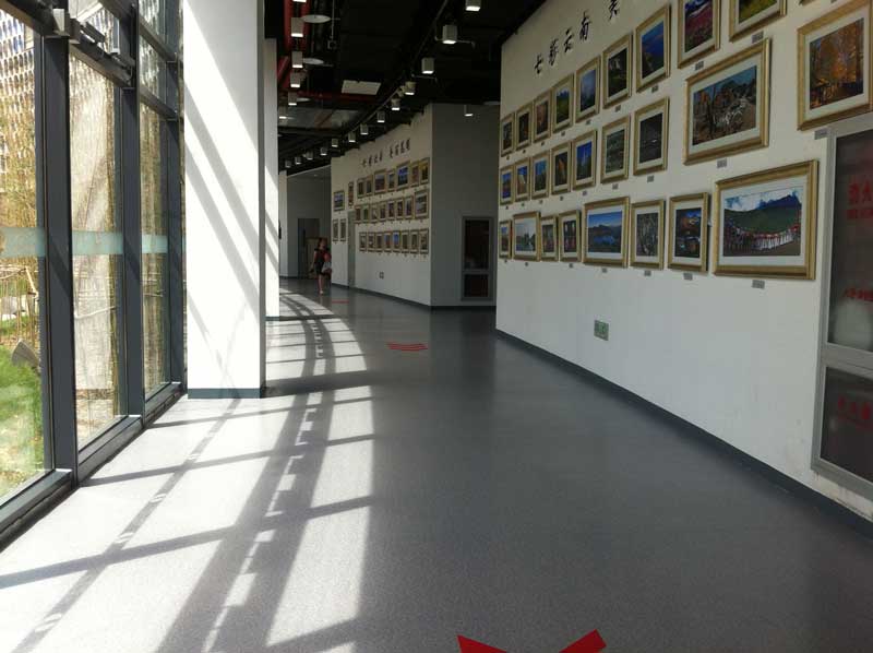 北京丰台区园博会商用香蕉成人在线视频 北京丰台区园博会商用香蕉成人在线视频