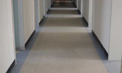 最高检办公室香蕉成人在线视频