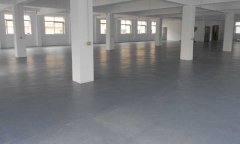北京师范大学学校塑胶香蕉成人在线视频