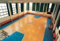 军事科学院体育馆室内篮球场香蕉成人在线视频