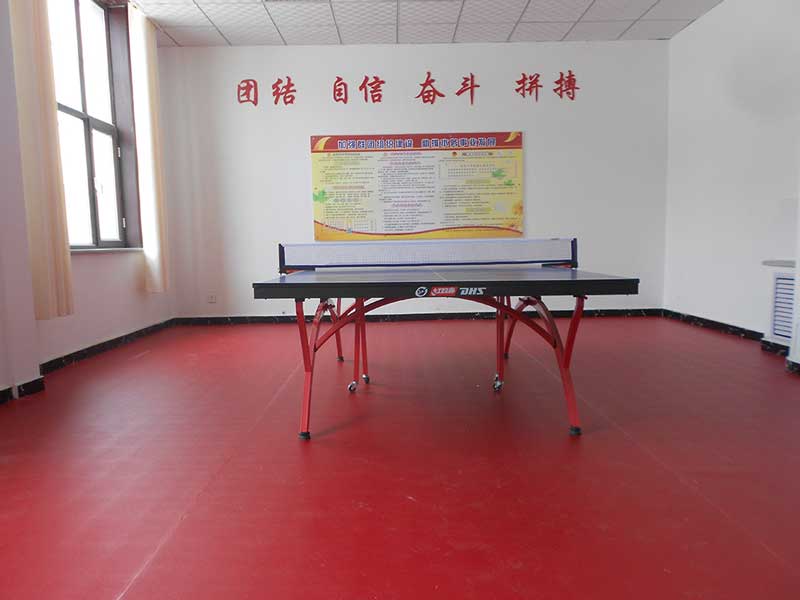 北京首钢技术研究院乒乓球地胶 北京首钢技术研究院乒乓球地胶