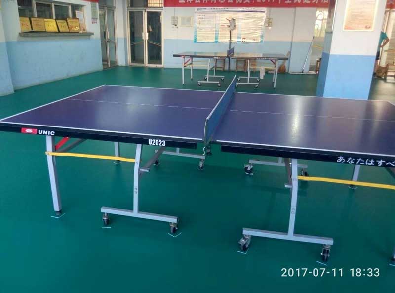 河南洛阳市孟津县体育总局乒乓球运动地胶